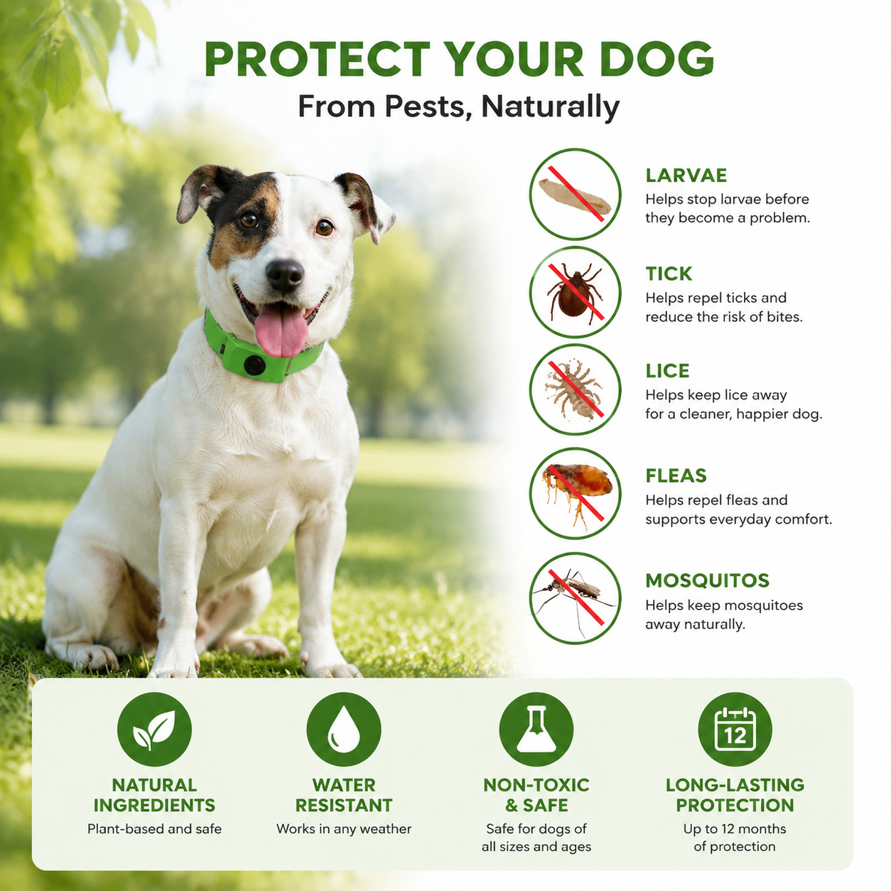Natural Flea &amp; Tick Protection Collar