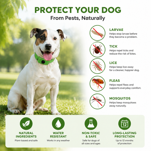 Natural Flea &amp; Tick Protection Collar